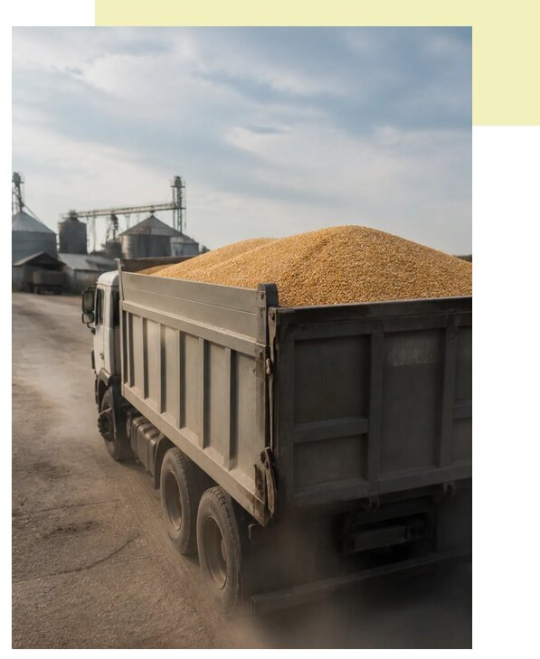 Перевозка сельхозпродукции навалом в Златоуст по цене от 3093 р. | Агросервис-Злт